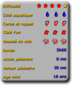 fiche tech canyon morghé